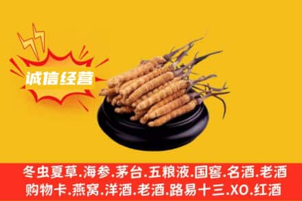 甘孜回收冬虫夏草